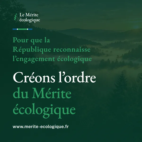 Visuel carré : sur une forêt brumeuse assombrie, le titre « Créons l’ordre du Mérite écologique », son surtitre et l’adresse du site.