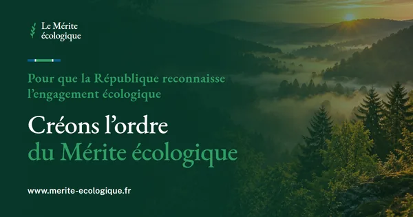 Visuel horizontal : le titre à gauche, la vallée brumeuse au lever du soleil à droite.